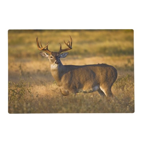 White_tailed Deer  South Texas Placemat