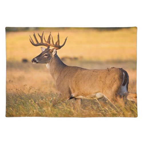 White_tailed Deer  South TX Cloth Placemat