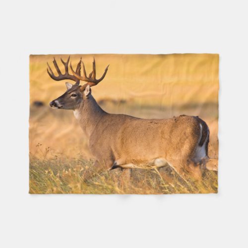White_tailed Deer  South TX Fleece Blanket