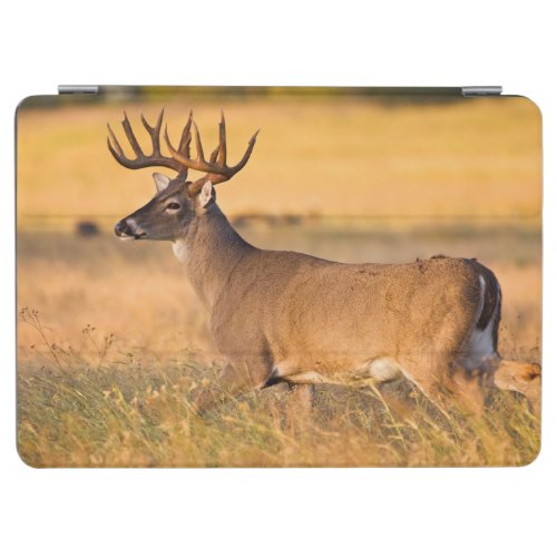 White_tailed Deer  South TX iPad Air Cover