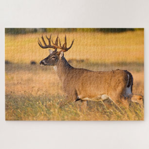 White-tailed Deer South TX Jigsaw Puzzle