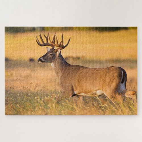 White_tailed Deer  South TX Jigsaw Puzzle