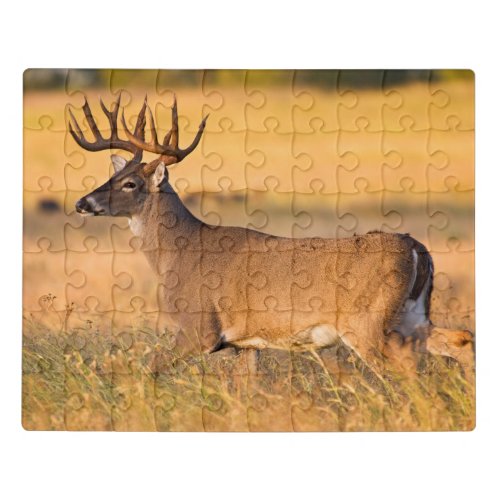 White_tailed Deer  South TX Jigsaw Puzzle