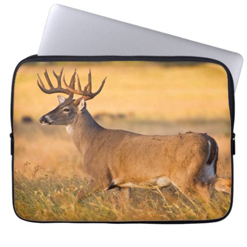 White_tailed Deer  South TX Laptop Sleeve