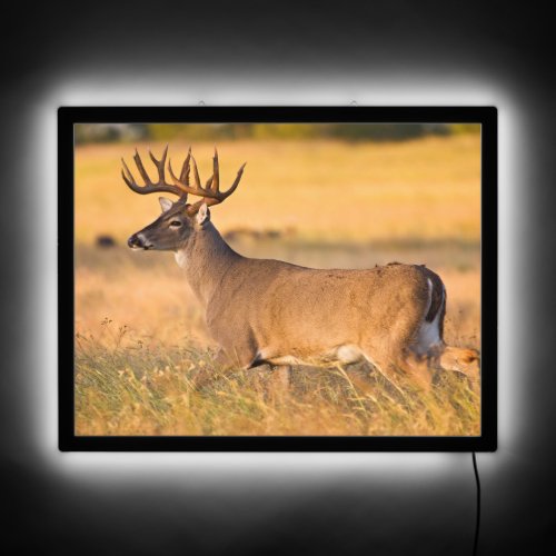 White_tailed Deer  South TX LED Sign