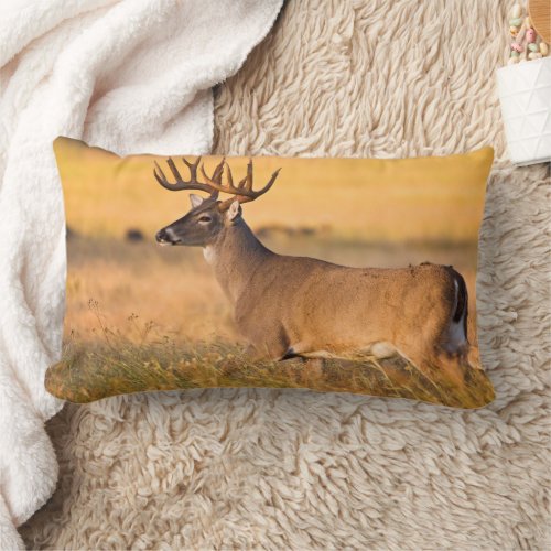 White_tailed Deer  South TX Lumbar Pillow