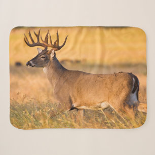 White-tailed Deer South TX Sherpa Blanket