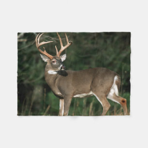 White-tailed Deer   Tennessee Fleece Blanket