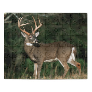 White-tailed Deer   Tennessee Jigsaw Puzzle
