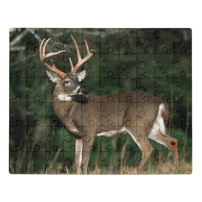 White-tailed Deer | Tennessee Jigsaw Puzzle (Puzzle Horizontal)