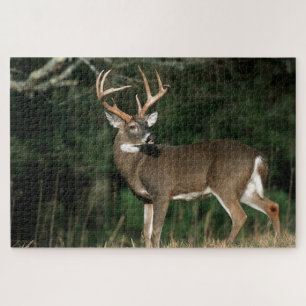 White-tailed Deer Tennessee Jigsaw Puzzle