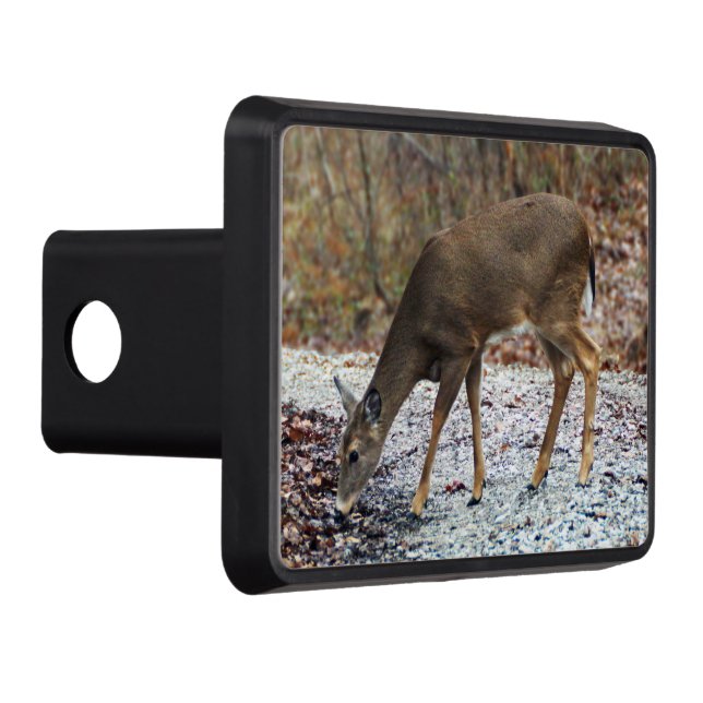White-Tailed Deer Trailer Hitch Cover (Right)