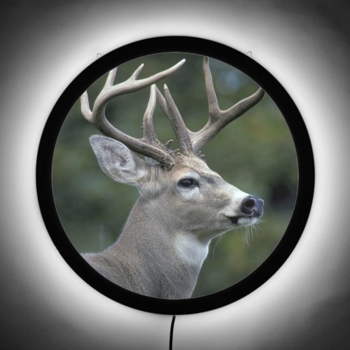 White_tailed Deer  Washington State LED Sign