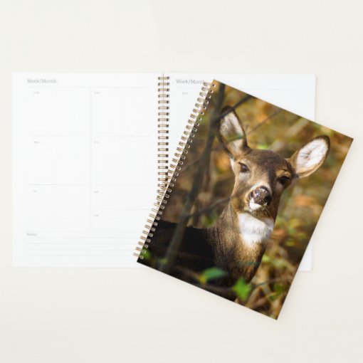 White-Tailed Deer Weekly/Monthly Planner | Zazzle