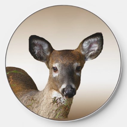 White tailed deer Wireless Charger