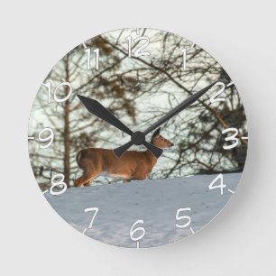 White Tailed Deer (With Numbers) Round Clock