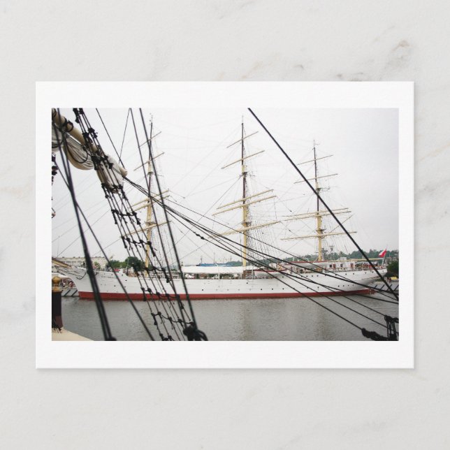 White tall ship - Postcard (Front)