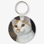 White/Tan Shorthair Shelter Cat Keychain