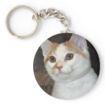White/Tan Shorthair Shelter Cat Keychain