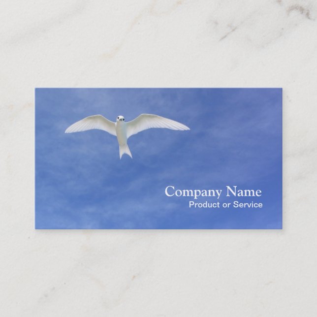 White tern business card (Front)