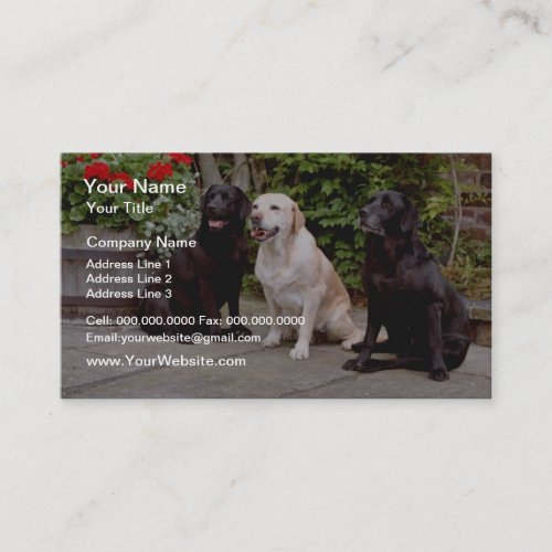 White Three Labrador retrievers sitting flowers Business Card Template