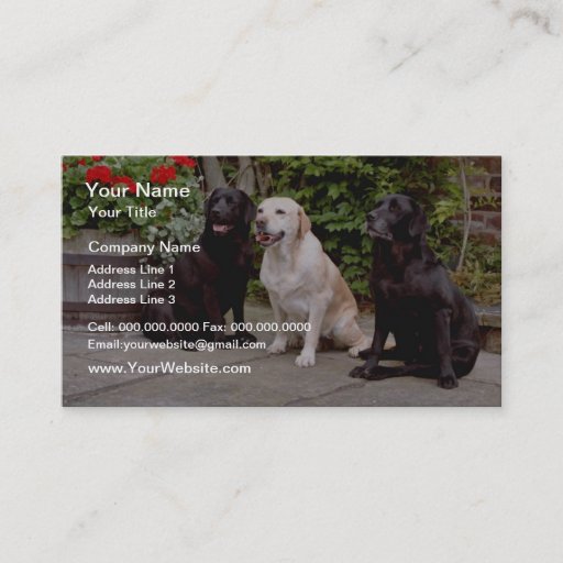 Customizable White Three Labrador retrievers sitting flowers Business Card Template