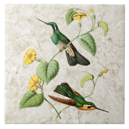 White Throat Mountain Gem Hummingbird Ceramic Tile