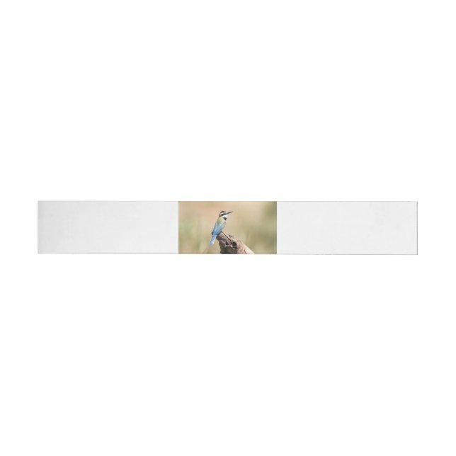 White throated Bee-eater Wrap Around Label (Individual)