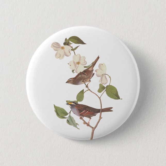 White-Throated Sparrow Audubon Bird in Dogwood Button (Front)