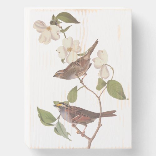 White Throated Sparrow Audubon Bird with Flowers Wooden Box Sign