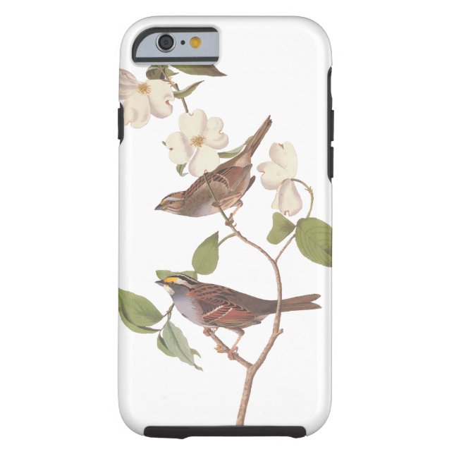 White-Throated Sparrow Audubon Birds in Dogwood Case-Mate iPhone Case (Back)