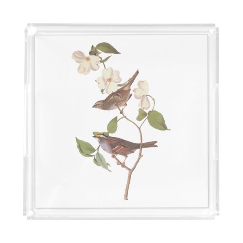 White Throated Sparrow Audubon Birds with Flowers Acrylic Tray