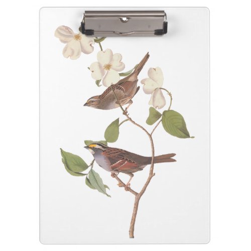 White Throated Sparrow Audubon Birds with Flowers Clipboard