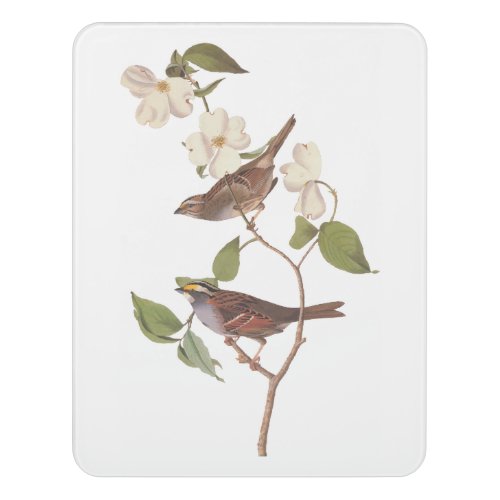 White Throated Sparrow Audubon Birds with Flowers Door Sign
