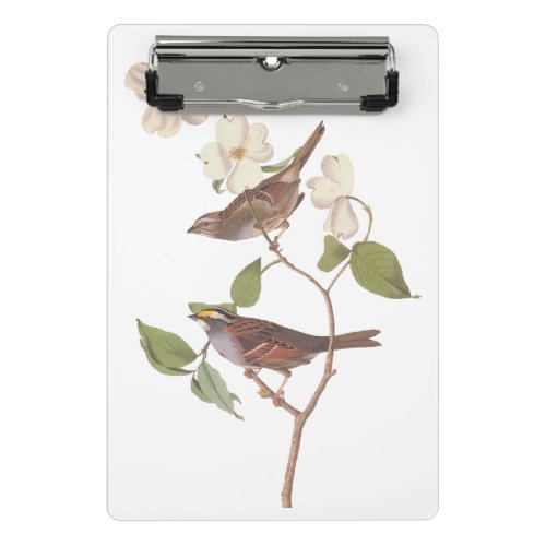 White Throated Sparrow Audubon Birds with Flowers Mini Clipboard