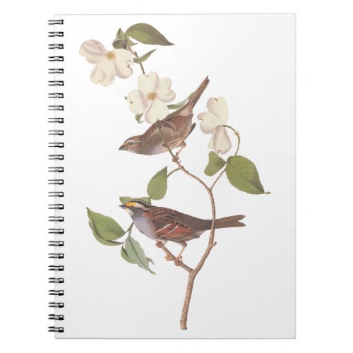 White Throated Sparrow Audubon Birds with Flowers Notebook