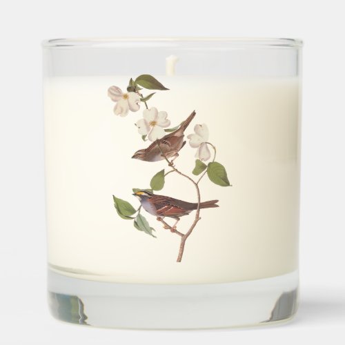 White Throated Sparrow Audubon Birds with Flowers Scented Candle
