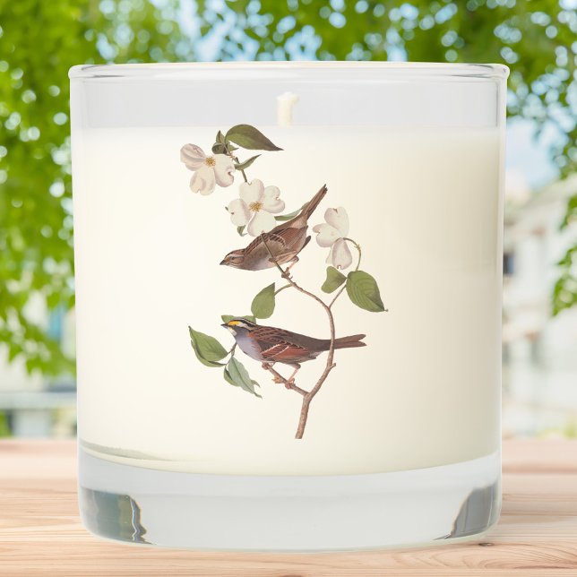 White Throated Sparrow Audubon Birds with Flowers Scented Candle (Creator Uploaded)