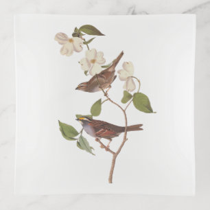 White Throated Sparrow Audubon Birds with Flowers Trinket Tray