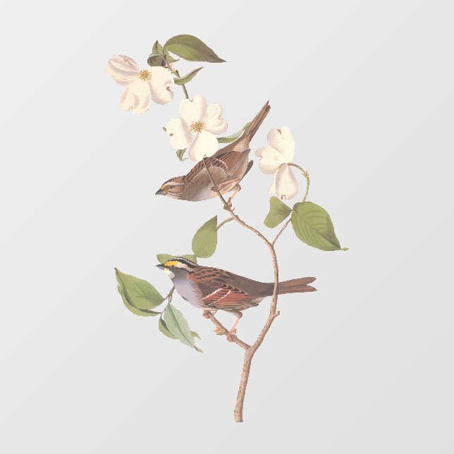 White Throated Sparrow Audubon Birds with Flowers  Window Cling (Sheet)