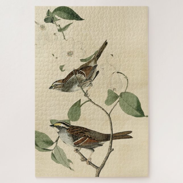 White throated Sparrow, Audubon's Birds of America Jigsaw Puzzle (Vertical)