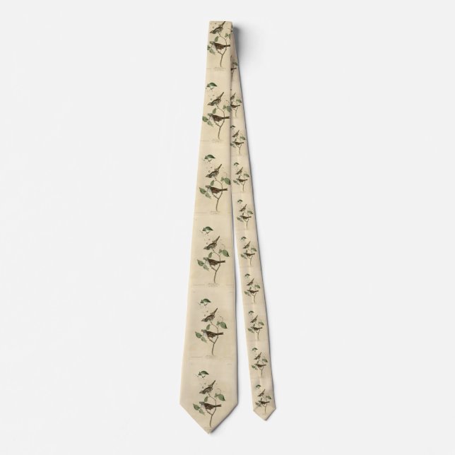 White throated Sparrow, Audubon's Birds of America Neck Tie (Front)