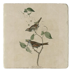 White throated Sparrow, Audubon's Birds of America Trivet