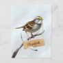 White Throated Sparrow Customize Name Postcard