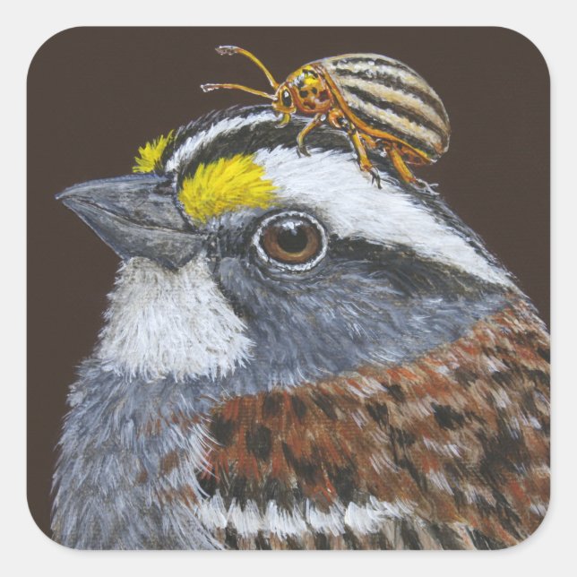 white-throated sparrow stickers (Front)