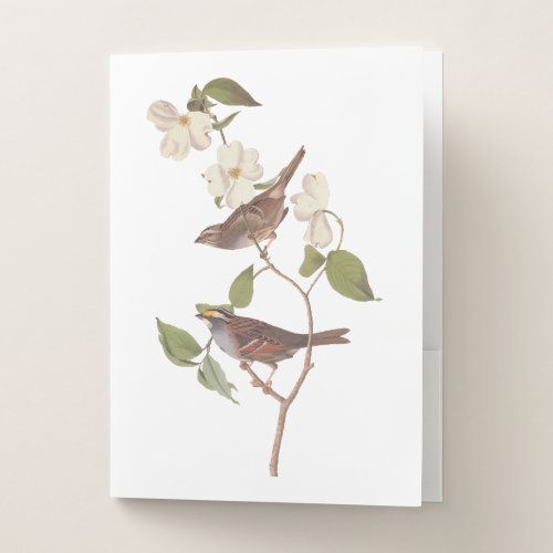 White Throated Sparrow Vintage Audubon Pocket Folder