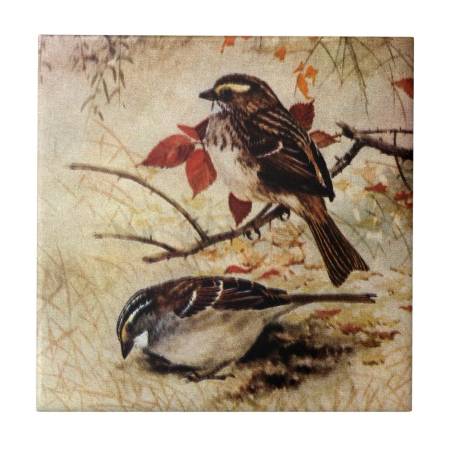 White-Throated Sparrows and Fall Leaves Tile (Front)