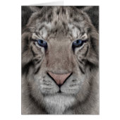 White Tiger (Front)