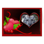 white-tiger-00102-65x45 (Front Horizontal)