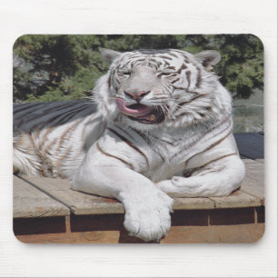 White Tiger 10 Mousepad